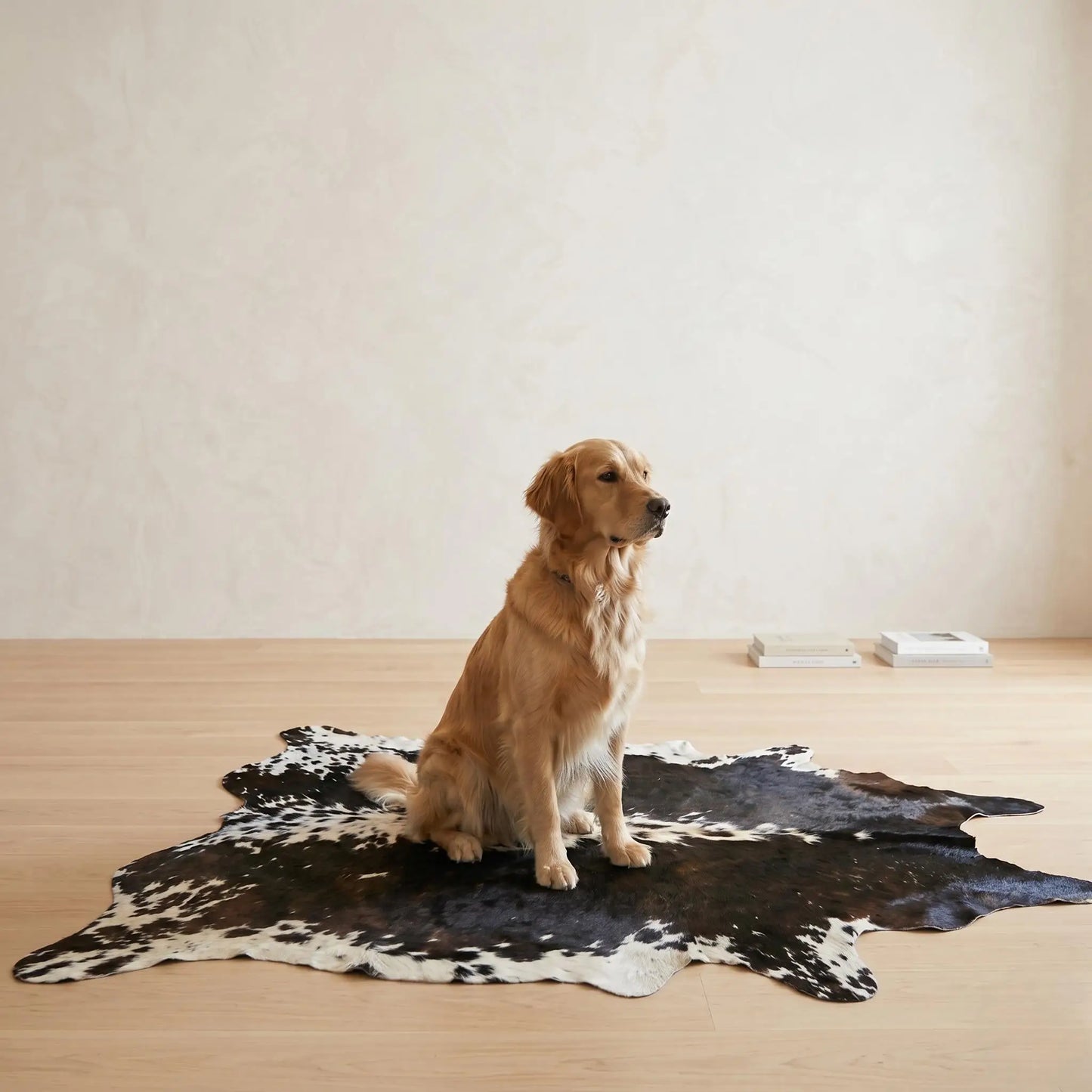 Natural Black & White Cowhide Rug | Authentic Hair-on-Hide Western Decor